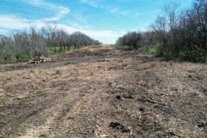 CRP, ROW and Trail Clearing