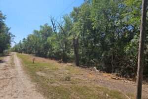 CRP, ROW and Trail Clearing