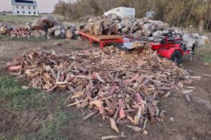 Firewood