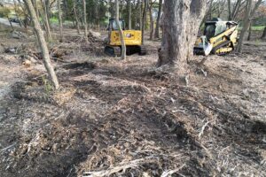 Forestry Mulching