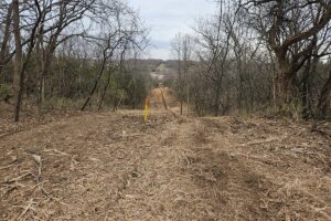 Forestry Mulching