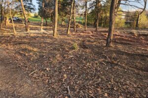 Forestry Mulching