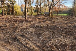 Forestry Mulching
