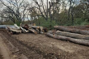 Legacy Timber Land Clearing
