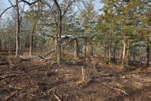 Legacy Timber Land Clearing