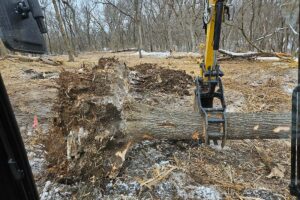 Legacy Timber Land Clearing