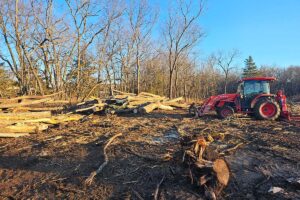 Legacy Timber Land Clearing
