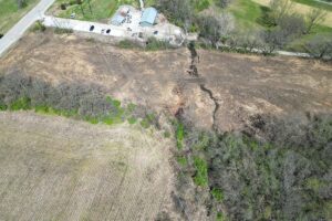 Pasture Clearing