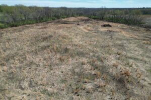 Pasture Clearing