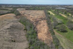 Pasture Clearing