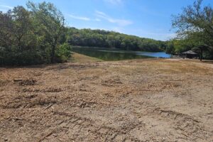 Pasture Clearing