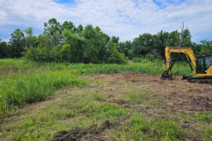 Pasture Clearing