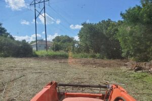 Pasture Clearing