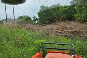 Pasture Clearing