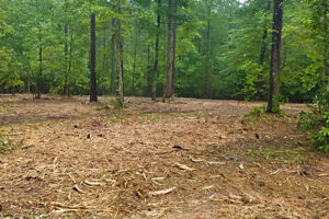 Forestry Mulching