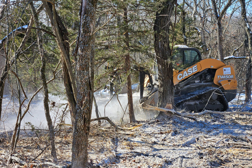 Harnessing Forestry Mulching: Unlocking the Benefits of Underbrush Removal