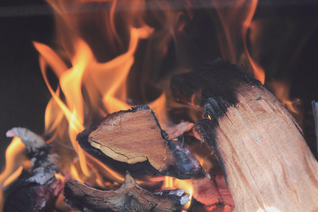 Seasoning Firewood